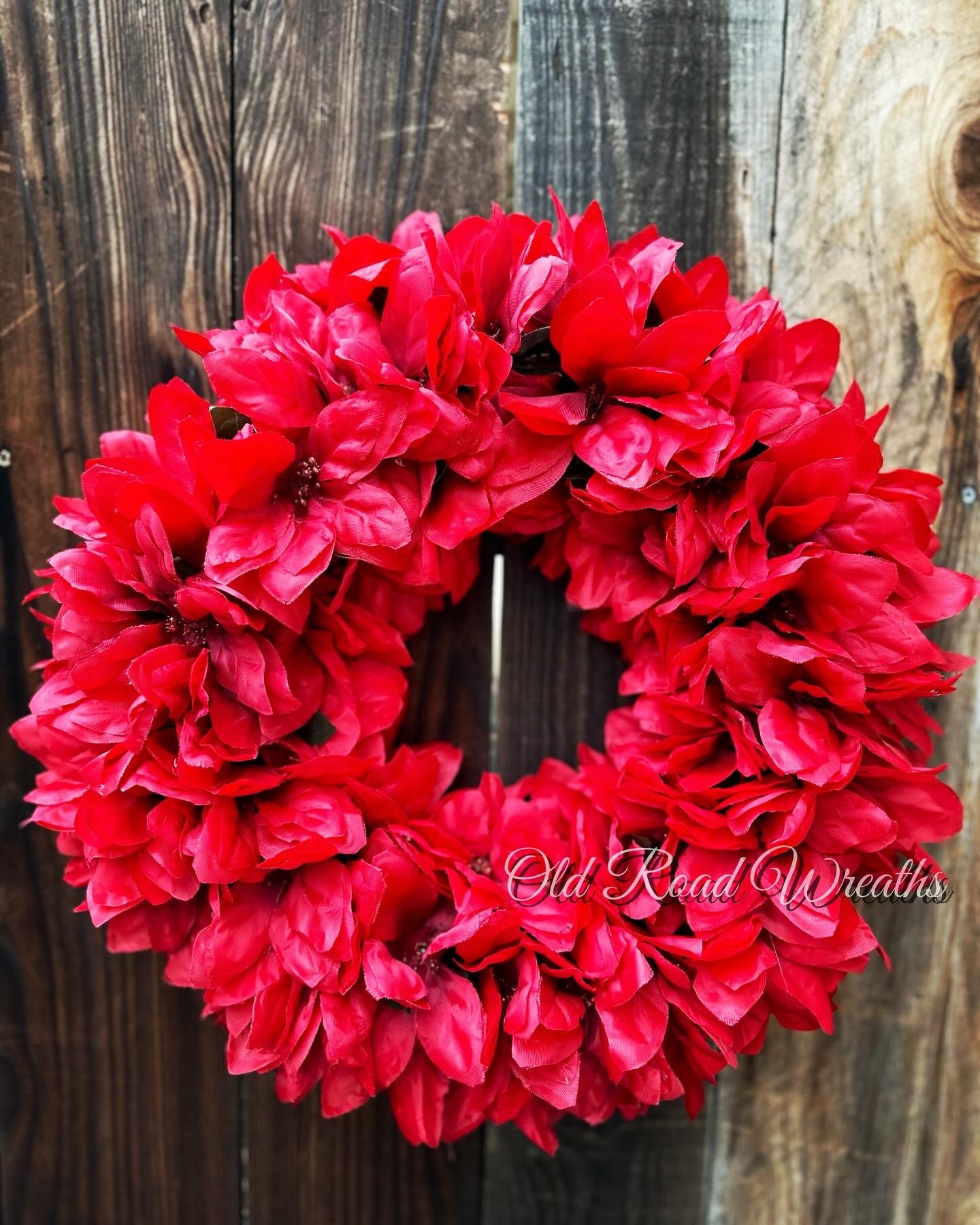 Red Poinsettia, Ruby