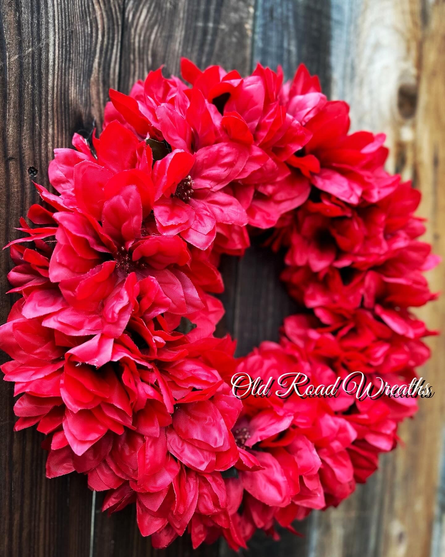 Red Poinsettia, Ruby