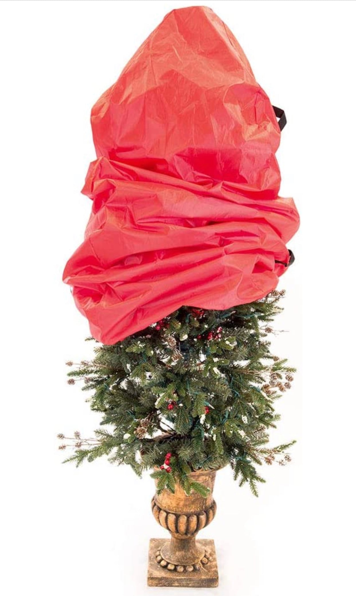 Upright Topiary Tree Storage, Zach