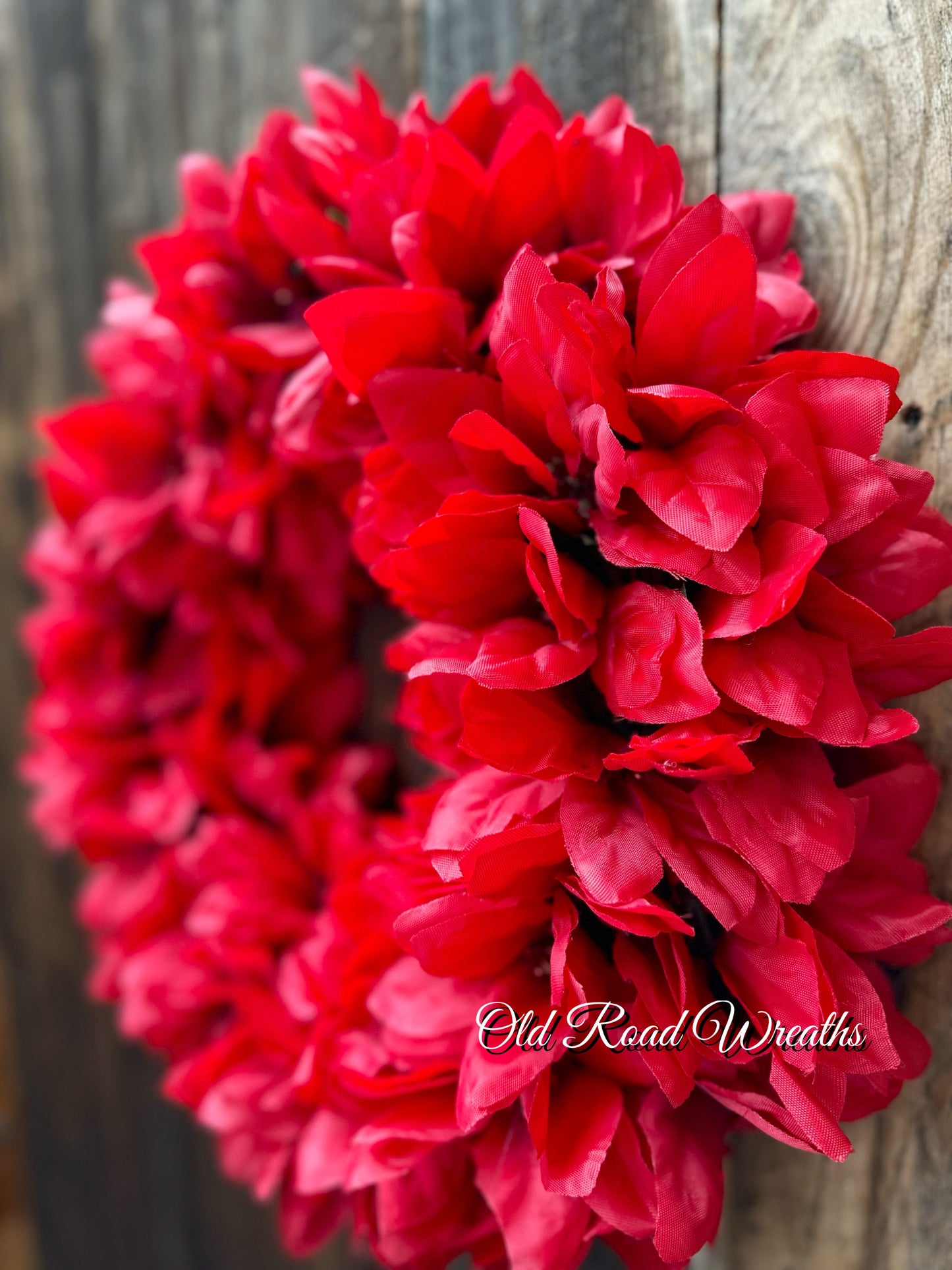Red Poinsettia, Ruby